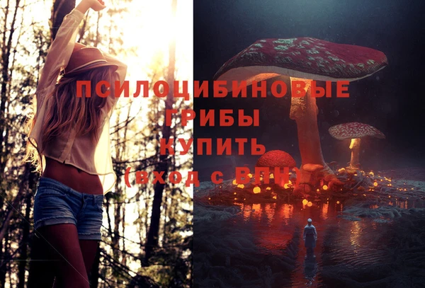 марки lsd Зерноград