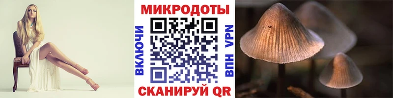 Галлюциногенные грибы мицелий Новочебоксарск